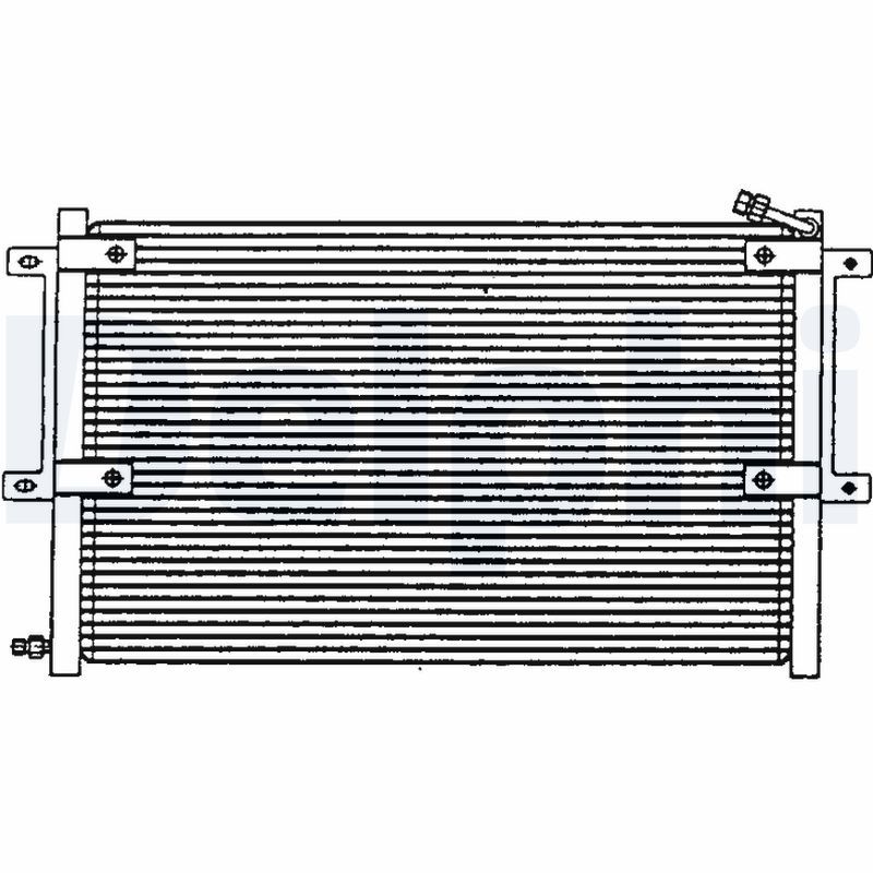 TSP0225100.JPG