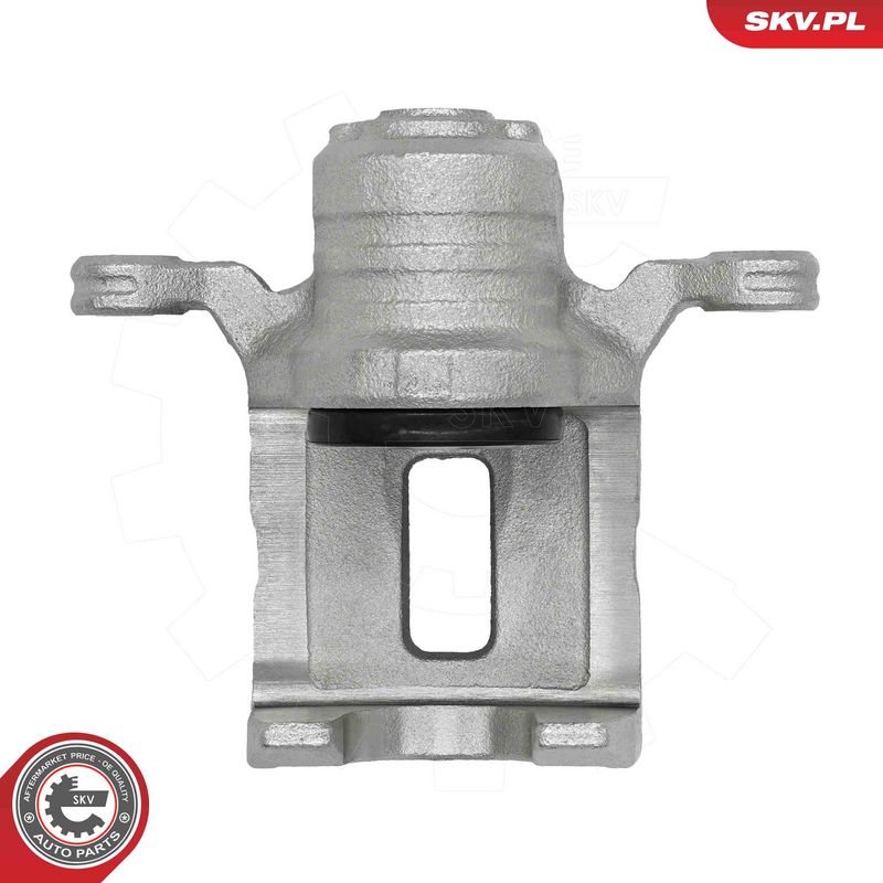 Pidurisadul, ESEN SKV 79SKV224