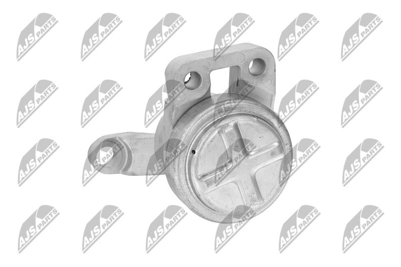 Paigutus, Mootor, NTY ZPS-FR-033