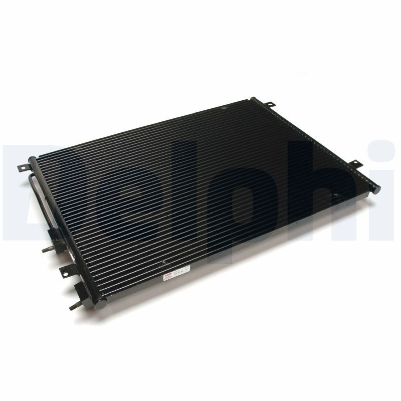 CF1136.JPG