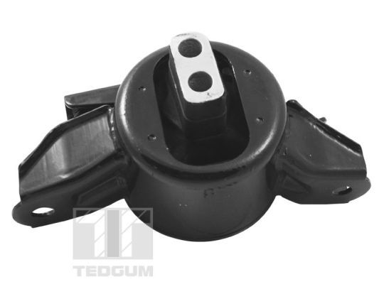 TED34809_#2.JPG