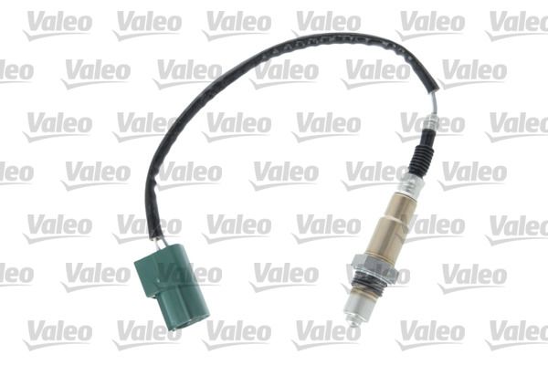 OXYGENSENSORS_368012_001.JPG