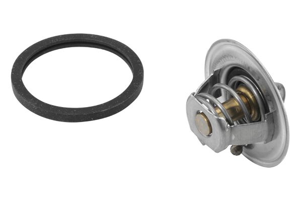 BorgWarner (Wahler) 410488.88D Thermostat, coolant