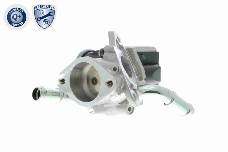 VEMO V25-63-0019 EGR Valve