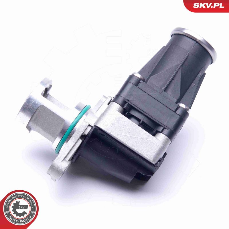 ESEN SKV 14SKV185 EGR vožtuvas