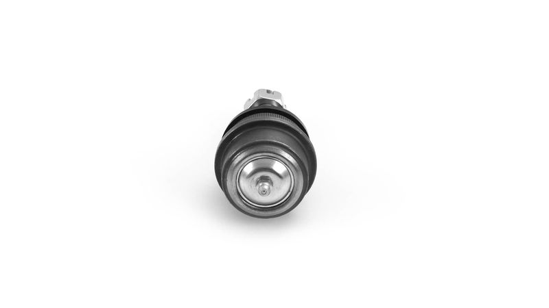 SKF VKDS 312504 Šarnyras / girgždukas