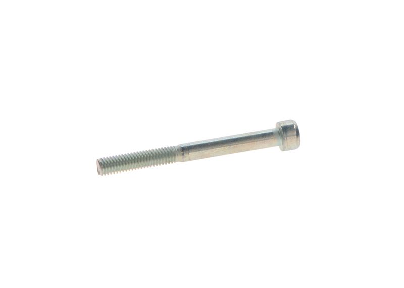 BOSCH 2469403076 Screw
