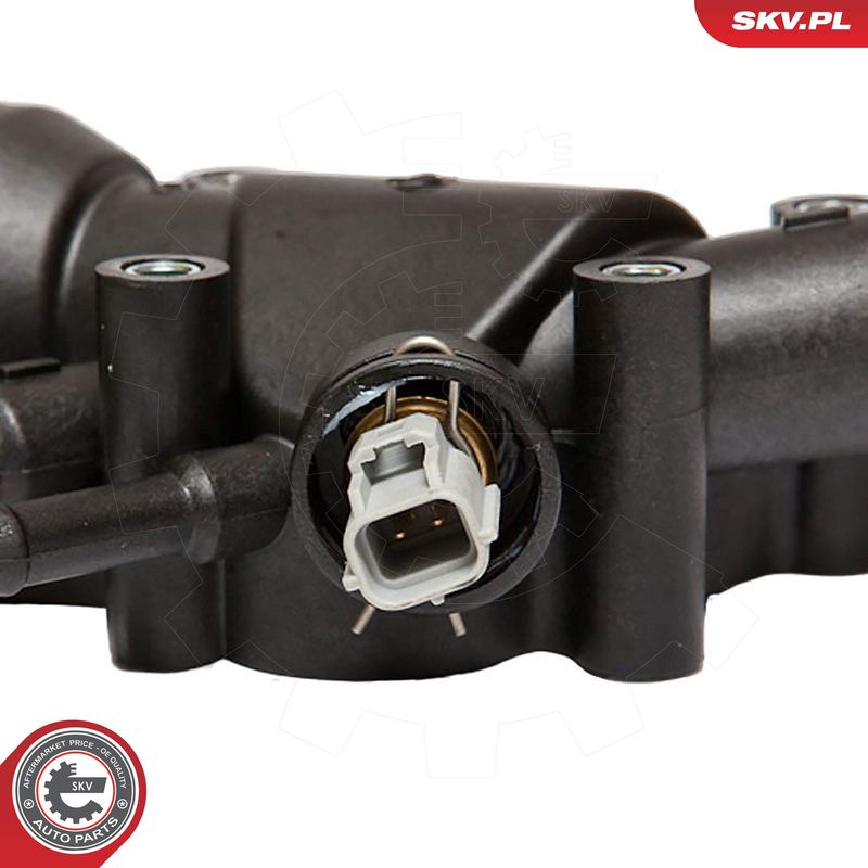 Termostaat, Jahutusvedelik, ESEN SKV 20SKV017