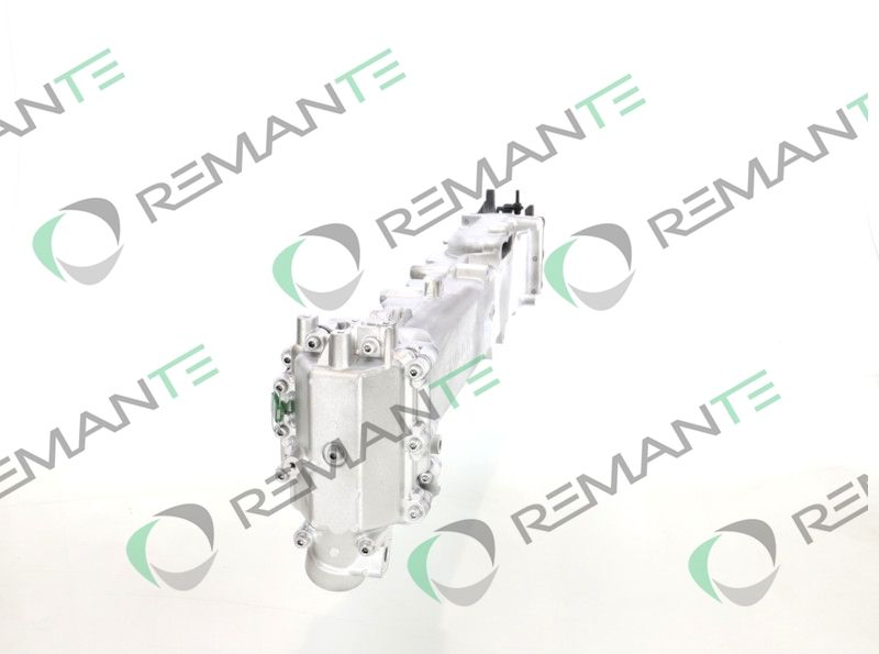 REMANTE 010-001-000017R EGR Module