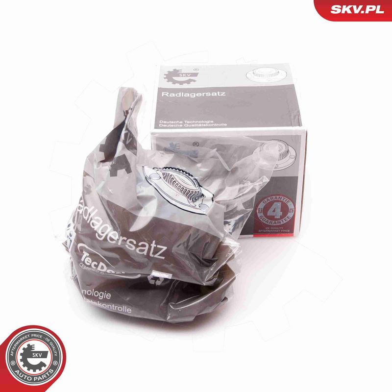 ESEN SKV 29SKV091 Wheel Bearing Kit
