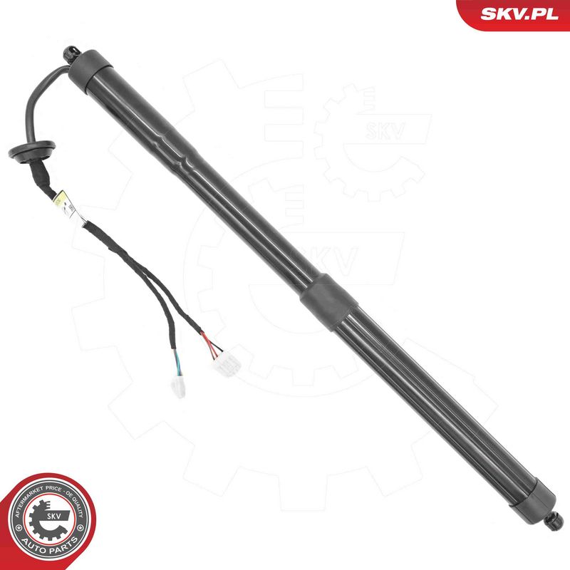 ESEN SKV 52SKV273 Electric Motor, tailgate