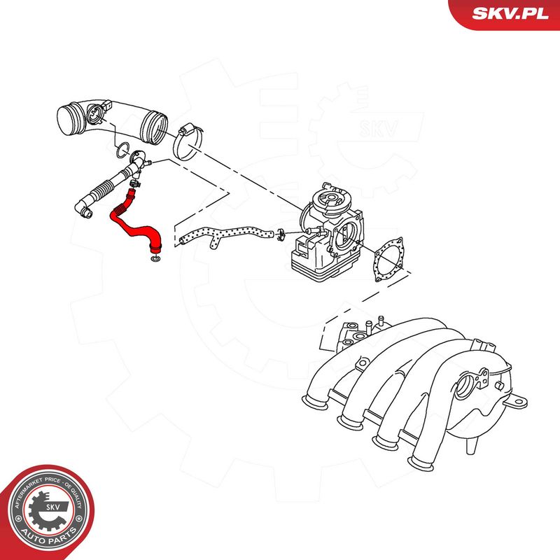 Prekė atitinka OEM kodą: 06B 103 217L