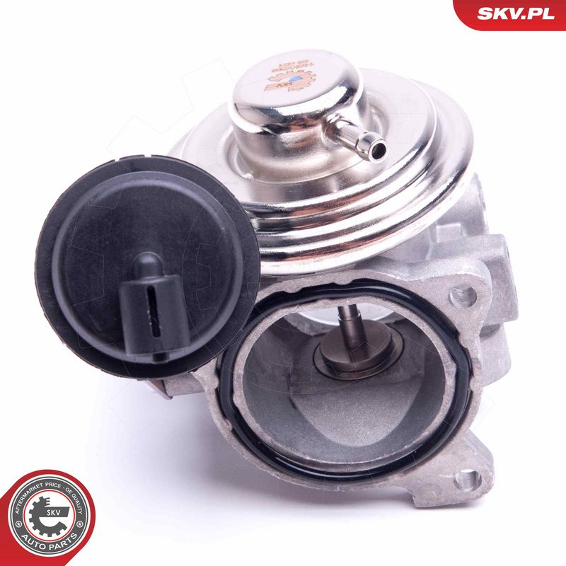 EGR-klapp, ESEN SKV 14SKV206