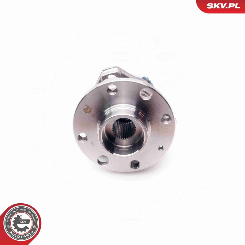 ESEN SKV 29SKV003 Wheel Bearing Kit