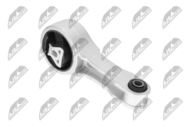 Paigutus, Mootor, NTY ZPS-CH-109