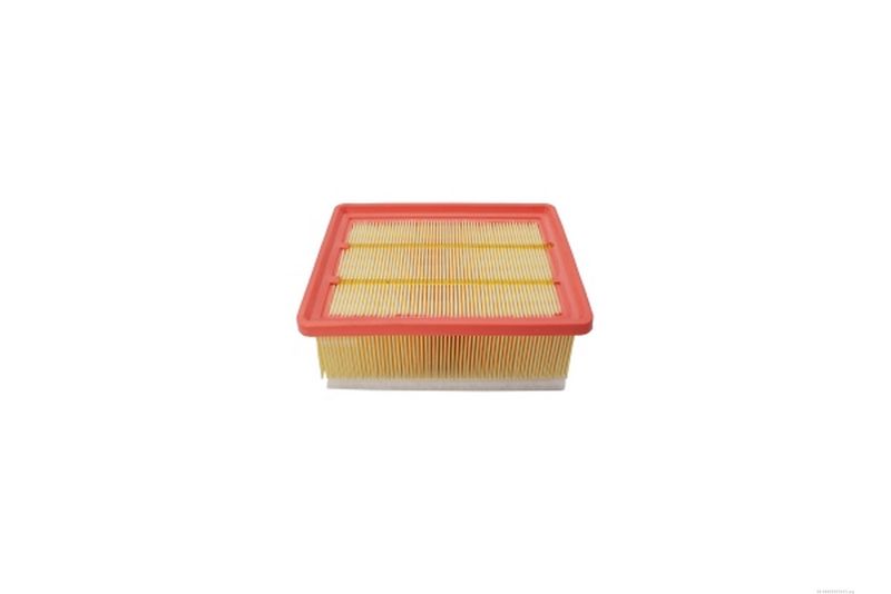 AUTOMEGA 180029210 Air Filter