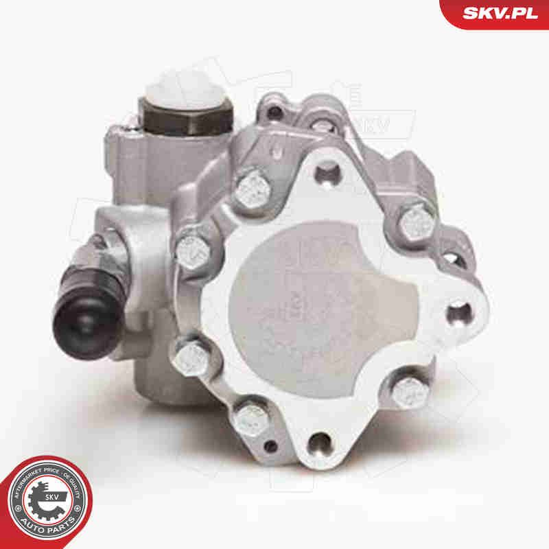 ESEN SKV 10SKV110 Hydraulic Pump, steering