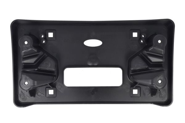 BLIC 6509-01-1196921P Licence Plate Holder
