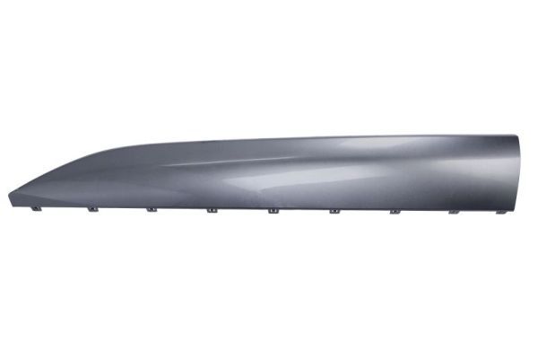 Tür - Zier-/Schutzleiste