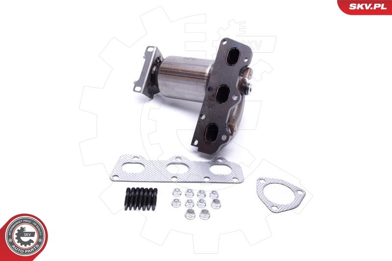 ESEN SKV 62SKV009 Catalytic Converter
