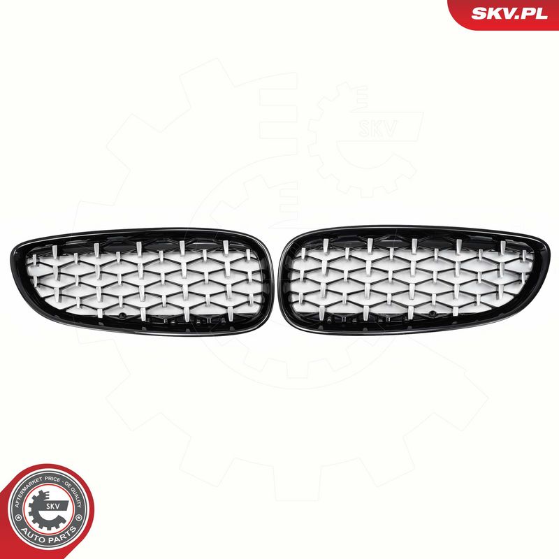 Radiaatorivõre, ESEN SKV...