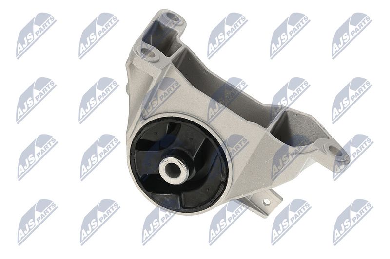 Paigutus, Mootor, NTY ZPS-PL-039