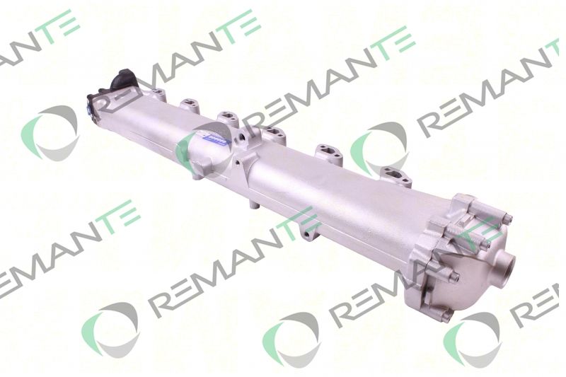 REMANTE 010-001-000006R - EGR Module