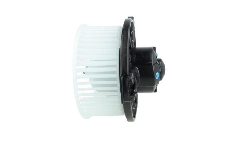 Salongipuhur, NRF 34291