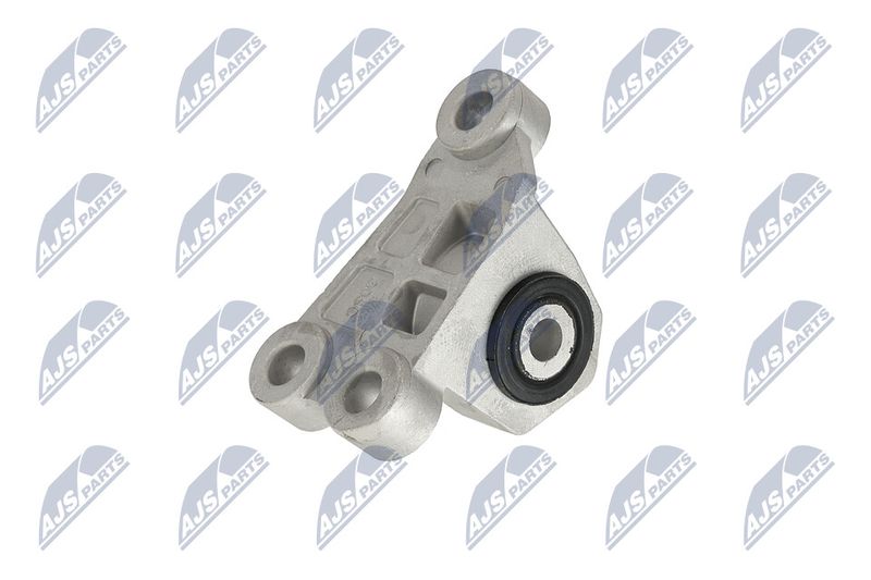 Paigutus, Mootor, NTY ZPS-CH-118