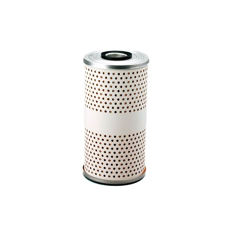 Brandstoffilter (slang filter)