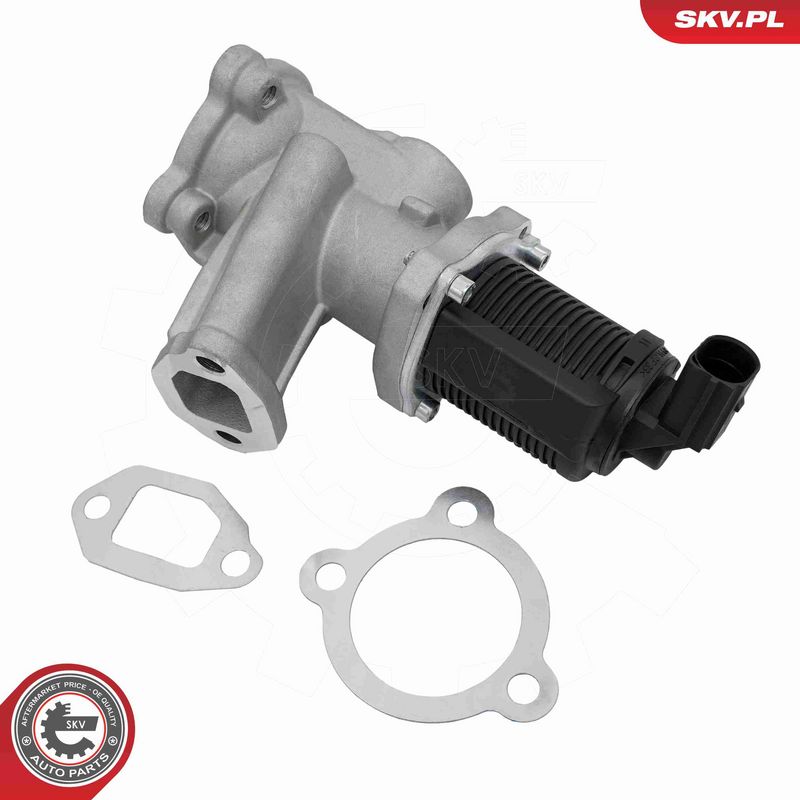 ESEN SKV 14SKV314 EGR Valve