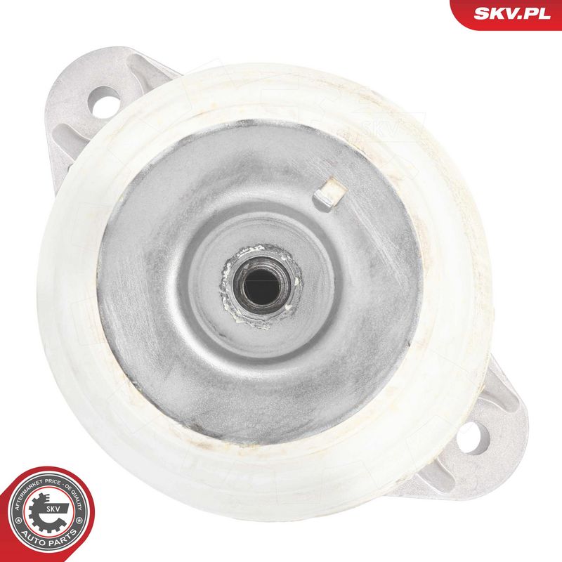 Paigutus, Mootor, ESEN SKV 75SKV297