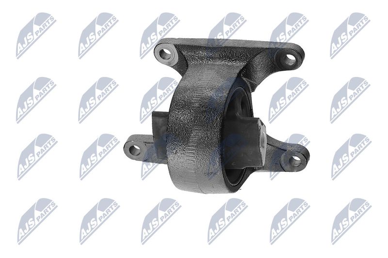 Paigutus, Mootor, NTY ZPS-CH-008