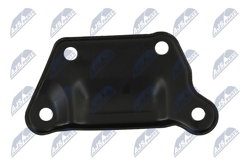 Paigutus, Mootor, NTY ZPS-MS-015