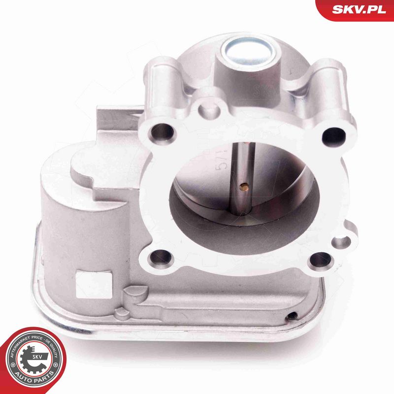 ESEN SKV 12SKV066 Throttle Body