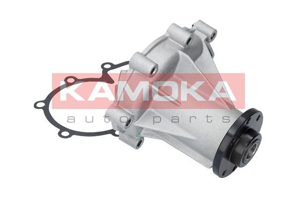 KAMOKA T0181 Water Pump, engine cooling