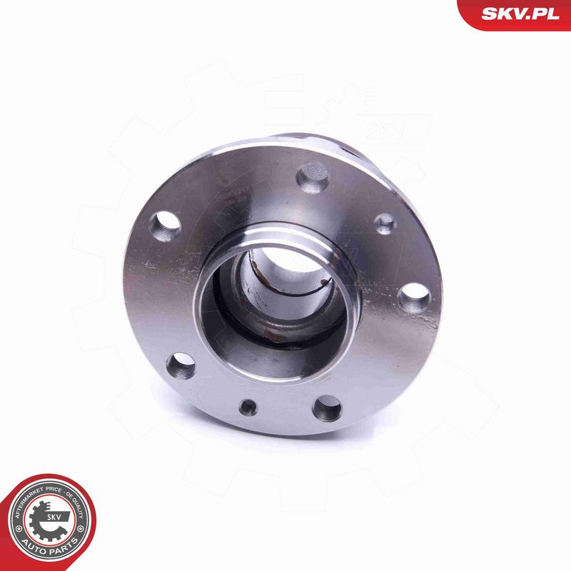 ESEN SKV 29SKV217 Wheel Bearing Kit