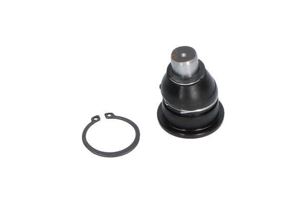 Kavo Parts SBJ-10011 Šarnyras