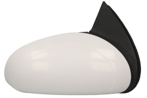 BLIC 5402-04-1115220P Exterior Mirror
