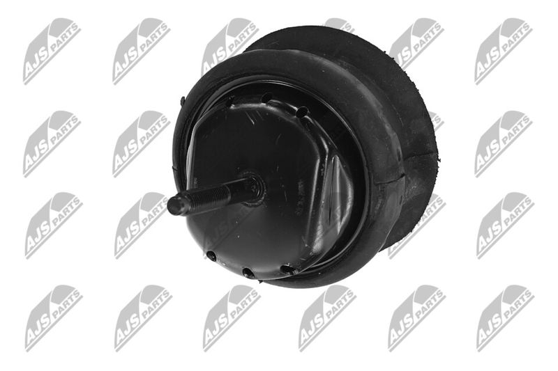 Paigutus, Mootor, NTY ZPS-CH-070