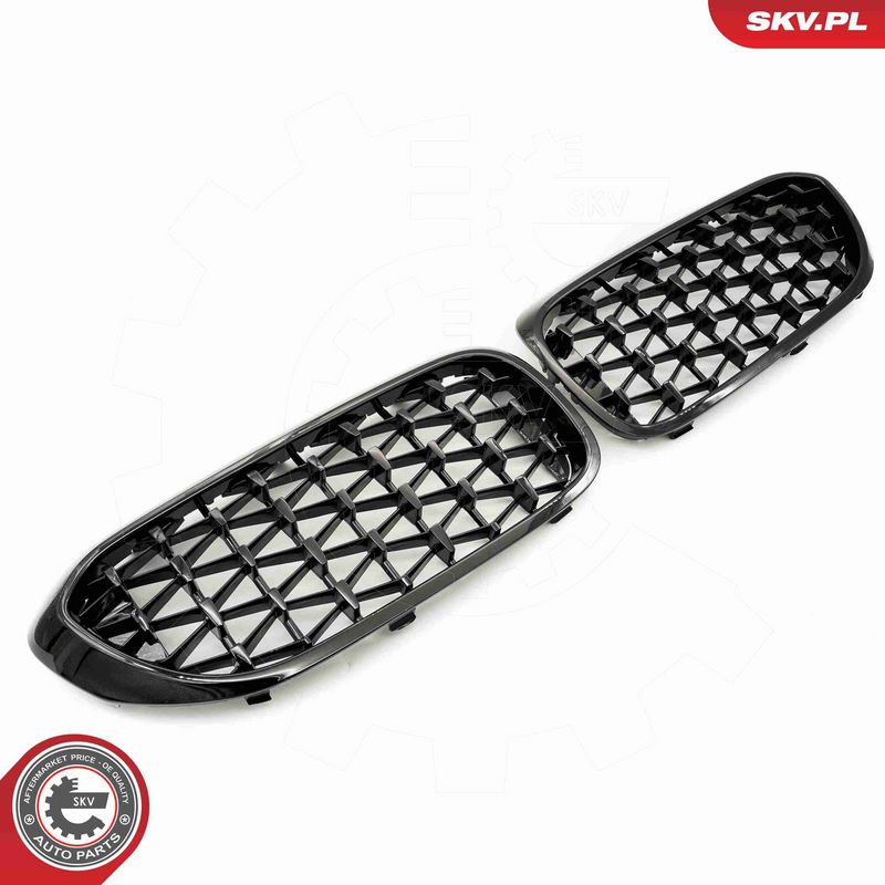 ESEN SKV 66SKV200 Radiator Grille