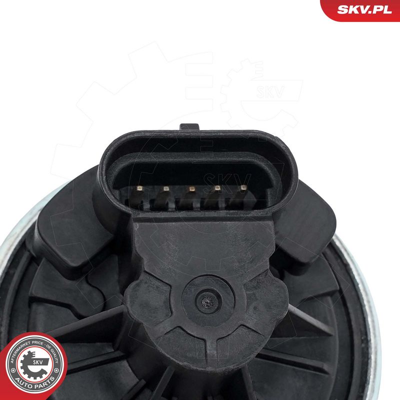 EGR-klapp, ESEN SKV 14SKV292