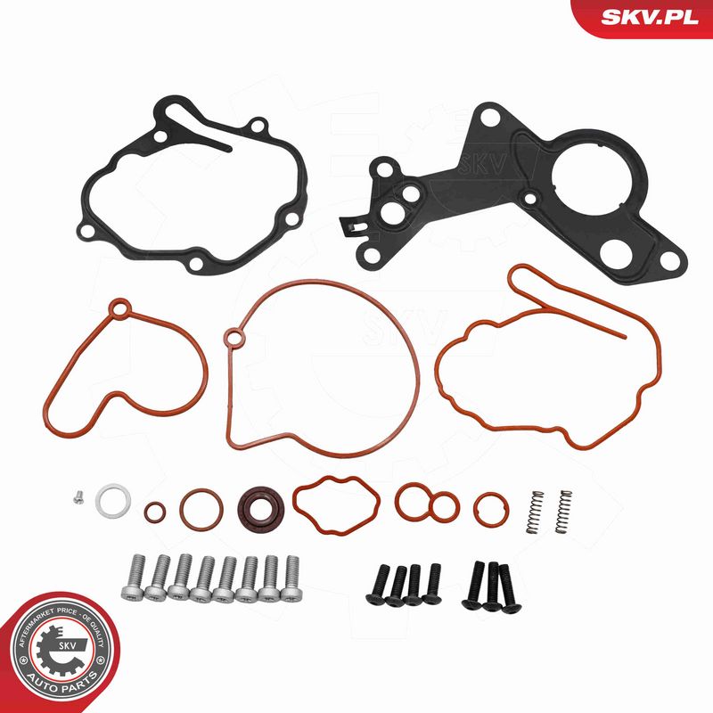 ESEN SKV 18SKV811 Repair Set, vacuum pump (braking system)