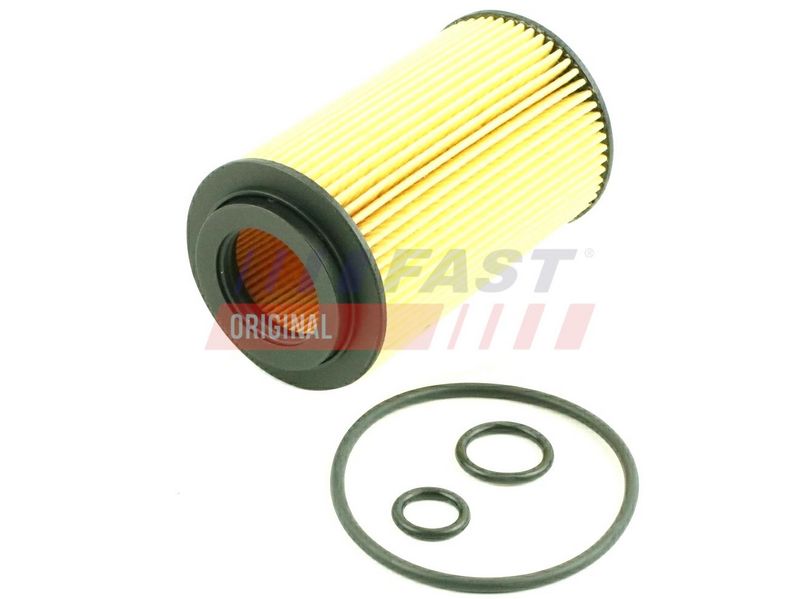 FAST FT38013 - Alyvos filtras