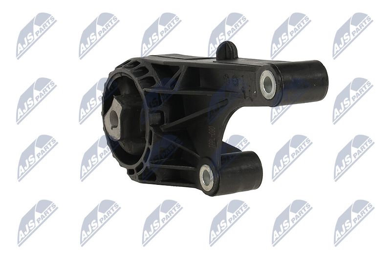 Paigutus, Mootor, NTY ZPS-PL-090
