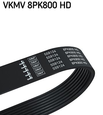 ozubený klínový řemen VKMV 8PK800 HD