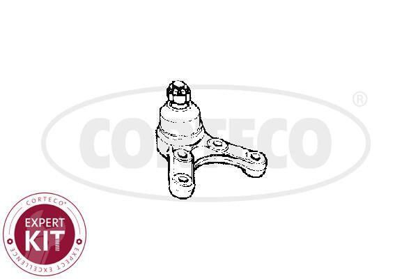 Kande-, juhtliigend,...