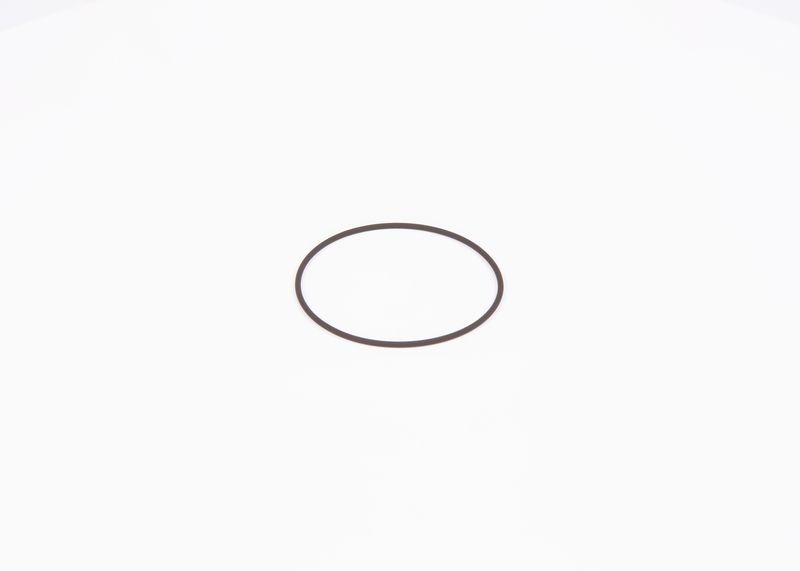 Inel de etansare F 01M 100 371 BOSCH