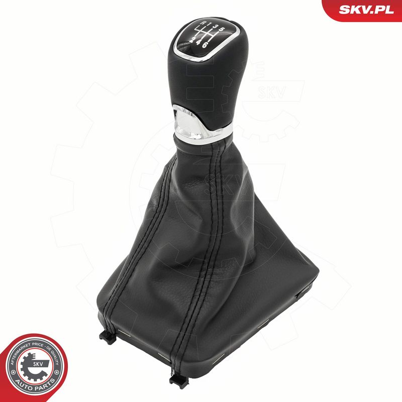 Käigukanginupp, ESEN SKV...