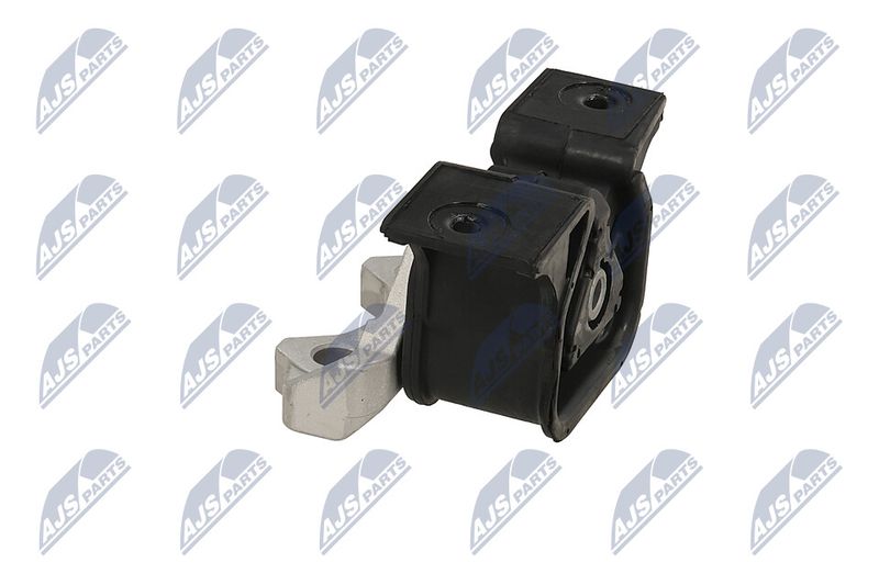 Paigutus, Mootor, NTY ZPS-PL-055